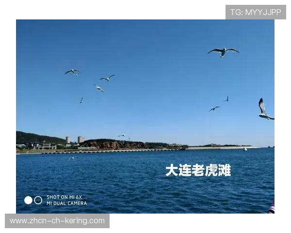 室内五人制精彩配合让人惊叹